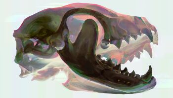 absurdres commentary english_commentary highres no_humans object_focus open_mouth original painterly sharp_teeth skull still_life teeth twulfs