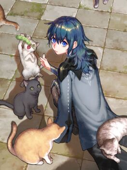 1girl ametoya animal black_cat blue_eyes blue_hair breasts brown_cat cat cat_teaser closed_mouth commentary_request female_byleth_(fire_emblem) fire_emblem fire_emblem:_three_houses grey_pantyhose highres jacket jacket_on_shoulders long_hair long_sleeves looking_at_viewer medium_breasts nintendo pantyhose solo squatting white_cat