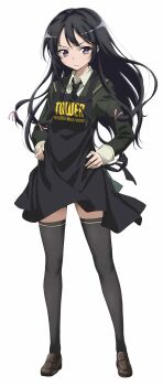 1girl apron black_apron black_hair black_necktie black_thighhighs boku_wa_tomodachi_ga_sukunai cardigan closed_mouth full_body green_cardigan hair_between_eyes hair_ribbon hands_on_own_hips highres loafers long_hair long_sleeves mikazuki_yozora necktie official_art pink_ribbon purple_eyes ribbon school_uniform shirt shoes simple_background solo st._chronica_academy_school_uniform standing thighhighs watanabe_yoshihiro white_background white_shirt zettai_ryouiki