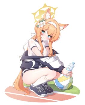 1girl absurdres animal_ear_fluff animal_ears ball beachball black_buruma black_jacket blue_archive blue_eyes bottle buruma charachan900 closed_mouth commentary double-parted_bangs flower full_body gym_shirt hair_flower hair_ornament hairband halo highres holding holding_bottle jacket jacket_partially_removed long_hair long_sidelocks looking_at_viewer mari_(blue_archive) mari_(track)_(blue_archive) official_alternate_costume orange_hair ponytail shirt shoes short_sleeves sidelocks simple_background sneakers solo split_mouth squatting sweat sweaty_clothes symbol-only_commentary track_jacket very_long_hair water_drop white_background white_flower white_hairband white_shirt yellow_halo