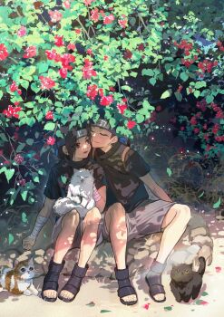 2boys aged_down backpack bag bandaged_arm bandages black_cat black_hair black_shirt black_shoes cat child closed_eyes commentary curtained_hair flower forehead_protector grey_shorts highres konohagakure_symbol male_focus momoyoru1 multiple_boys naruto_(series) naruto_shippuuden open-toe_shoes outdoors red_flower shirt shoes shorts uchiha_itachi uchiha_shisui white_cat yaoi