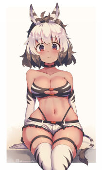 1girl ahoge animal_ears animal_print bare_shoulders belt belt_buckle black_belt black_choker breasts brown_background brown_hair buckle choker cleavage closed_mouth collarbone commentary_request elbow_gloves frilled_shorts frills gloves kuromiya looking_at_viewer medium_breasts multicolored_hair navel original red_eyes shimamiya_mayuki_(kuromiya) short_shorts shorts skindentation smile solo thighhighs two-tone_background two-tone_hair white_background white_gloves white_hair white_shorts white_thighhighs zebra_ears zebra_girl zebra_print zebra_tail
