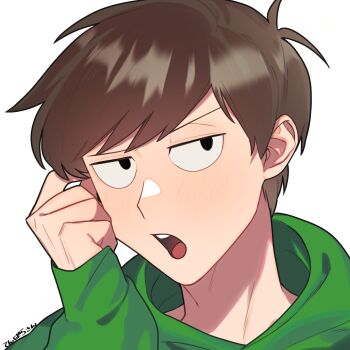 Rule 34 | 1boy, animification, antenna hair, black eyes, blush, brown hair, close-up, commentary request, edd (eddsworld), eddsworld, green hoodie, hair behind ear, hand on own face, highres, hood, hood down, hoodie, jitome, korika02, long sleeves, looking at viewer, male focus, open mouth, portrait, sanpaku, short hair, simple background, solo, swept bangs, variant set, white background