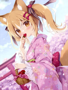 1girl absurdres animal_ears artist_name basket blue_sky blush bow brown_bow brown_eyes brown_hair cherry_blossoms cherry_tree cloud cloudy_sky cowboy_shot day dengeki_moeoh dutch_angle eating falling_petals floral_print floral_print_kimono food food_in_mouth fox_ears fox_girl fox_tail frilled_sleeves frills from_side fruit hair_between_eyes hair_bow highres holding holding_basket holding_food japanese_clothes kimono long_hair looking_at_viewer looking_to_the_side magazine_scan miyasaka_miyu multicolored_hair obi obiage original outdoors petals pink_kimono pink_petals print_kimono red_bow sash scan sidelocks sky solo strawberry streaked_hair tail third-party_source torii twintails white_streaks
