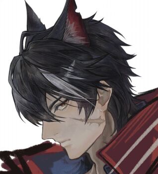 Rule 34 | 1boy, adam's apple, animal ear fluff, animal ears, arknights, arknights: endfield, babu don (don 10 13), black hair, closed mouth, commentary request, facial scar, from side, highres, jacket, looking at viewer, male focus, multicolored hair, parted bangs, portrait, red jacket, scar, scar on cheek, scar on face, short hair, solo, streaked hair, wolf boy, wolf ears, wulfgard (arknights)