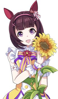 Rule 34 | 1girl, absurdres, animal ears, blunt bangs, bow, brown hair, commentary request, dress, ear covers, flower, hair ornament, hairband, highres, holding, holding flower, horse ears, horse girl, looking at viewer, nishino flower (tiered petal) (umamusume), nishino flower (umamusume), open mouth, pink hairband, purple eyes, short hair, sleeveless, sleeveless dress, smile, solo, sunflower, umamusume, wrist cuffs, x hair ornament, xiaofeng, yellow dress