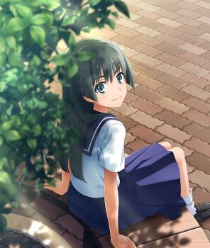 Rule 34 | 1girl, aqua eyes, bench, black hair, black shoes, blue sailor collar, blue skirt, brick road, closed mouth, dappled sunlight, day, from behind, game cg, long hair, looking at viewer, looking back, official art, on bench, outdoors, plant, potted plant, sailor collar, sakugawa school uniform, saten ruiko, school uniform, serafuku, shirt, shoes, short sleeves, sitting, skirt, smile, socks, solo, straight hair, summer uniform, sunlight, third-party source, toaru kagaku no railgun, toaru majutsu no index, toji no miko, toji no miko: kizamishi issen no tomoshibi, tree, white shirt, white socks, wooden bench