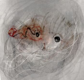 Rule 34 | 1girl, abstract, absurdres, black eyes, grey theme, highres, original, portrait, seyooe, solo, spot color, wide-eyed