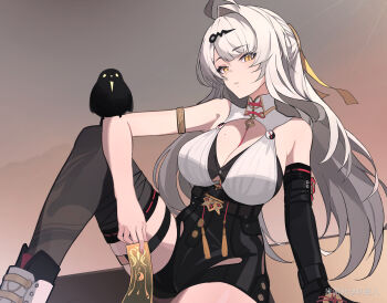 1girl ahoge animal_on_arm armlet asymmetrical_gloves bare_shoulders bird bird_on_arm black_bird black_unitard breasts cleavage coin coin_on_string commentary_request elbow_gloves elbow_on_knee elbow_rest gloves hair_ornament hairpin high-waist_shorts highres holding holding_ofuda jewelry jizaier knee_up large_breasts long_hair looking_at_viewer mole mole_on_chest no_jacket ofuda parted_lips shoes shorts single_elbow_glove single_hair_intake single_thighhigh sitting solo_focus thighhighs uneven_gloves white_hair white_shoes yin_yang_pin yixuan_(zenless_zone_zero) zenless_zone_zero