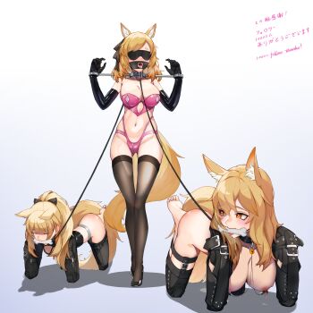 3girls absurdres animal_ears arknights bdsm bitchsuit blemishine_(arknights) blindfold blonde_hair bondage bone bound bra celebration closed_eyes collar drooling elbow_gloves english_text gag gagged gloves harem highres impactinjury lactation latex latex_gloves leash looking_at_another multiple_girls nearl_(arknights) nipples panties pet_play pink_bra pink_panties ponytail restrained ring_gag saliva slave stocks tail thighhighs tongue underwear whislash_(arknights) white_background