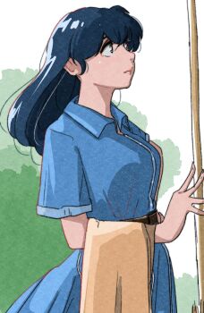 1girl blue_eyes blue_hair border breasts broom bush collared_dress dress green_border highres holding holding_broom maison_ikkoku medium_breasts non-web_source otonashi_kyouko poppowerhearts simple_background smile solo white_background