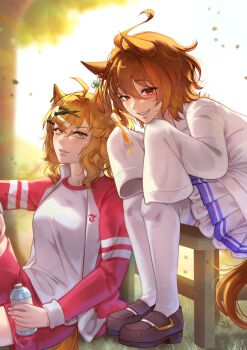 Rule 34 | 2girls, absurdres, agnes tachyon (umamusume), ahoge, animal ears, blush, bottle, braid, breasts, brown hair, chemical structure, coat, earrings, gym shirt, hair between eyes, hair ornament, hairclip, half up braid, half up half down braid, highres, holding, holding bottle, horse ears, horse girl, horse tail, jacket, jewelry, jungle pocket (umamusume), lab coat, long sleeves, medium breasts, medium hair, mochiwasabii, multiple girls, notched ear, open clothes, open jacket, outdoors, parted lips, red eyes, red jacket, red shorts, school uniform, shirt, shoes, short hair, shorts, single earring, sitting, skirt, sleeves past fingers, sleeves past wrists, smile, tail, thighhighs, tracen school uniform, tracen training uniform, track jacket, tree, umamusume, water bottle, white coat, white shirt, white skirt, white thighhighs, yellow eyes