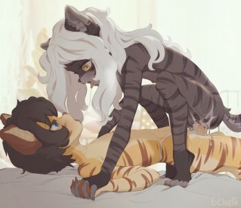 1boy 1girl after_kiss amalia_(clara_(roringclara)) animal_ears artist_name bad_id black_hair blue_eyes blush borrowed_character brother_and_sister butterchalk completely_nude couple cowgirl_position cum cum_in_pussy eye_contact flat_chest furry furry_female furry_male furry_with_furry girl_on_top hetero highres holding_hands incest interlocked_fingers ken_(clara_(roringclara)) kodomo_doushi loli long_hair looking_at_another nipples nude open_mouth original penis pussy saliva saliva_trail sex shirt shota siblings squatting_cowgirl_position straddling striped_fur striped_tail tail tongue tongue_out uncensored vaginal white_hair yellow_eyes