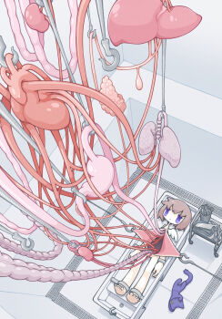 1girl arms_at_sides blood_vessels bonesaw brown_hair cat closed_mouth commentary_request completely_nude dissection expressionless foreshortening from_above guro hanging heart_(organ) highres indoors intestines kidney liver looking_up lungs lying meat_hook mini_wings nude on_back on_table original restrained saw short_hair single_wing solo stationary_restraints stomach_(organ) table tray wide_shot wings yamori_511