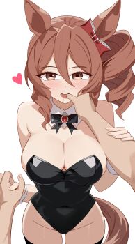 1girl 1other absurdres alternate_costume animal_ears bare_shoulders black_bow black_bowtie black_thighhighs blush bow bowtie breasts brown_eyes brown_hair cleavage commentary_request cowboy_shot detached_collar ear_bow finger_in_another&#039;s_mouth groin guiding_hand hair_between_eyes heart highleg highleg_leotard highres holding_another&#039;s_hair holding_hands horse_ears horse_girl horse_tail large_breasts leotard limit_zero long_hair nontraditional_playboy_bunny norn_ace_(umamusume) pov pov_hands red_bow saliva simple_background smile solo_focus strapless strapless_leotard tail teeth thighhighs umamusume upper_teeth_only white_background wrist_cuffs