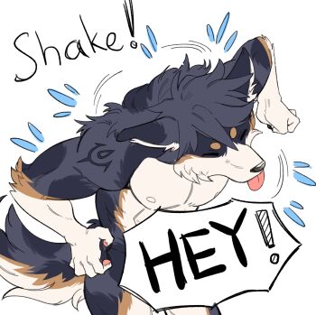 1boy abs animal_ears bara brand_of_the_exalt chrom_(fire_emblem) closed_eyes closed_mouth commentary dog_boy dog_ears dog_tail english_commentary english_text fire_emblem fire_emblem_awakening furrification furry furry_male highres koge_(natsub_bkoge) male_focus muscular muscular_male nintendo nipples pectorals shaking speech_bubble speech_bubble_censor tail tongue tongue_out water_drop white_background