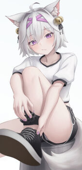 1girl ahoge anidante animal_ear_fluff animal_ears ankleband bell black_ankleband black_ribbon black_shoes black_shorts blush cat_ears cat_girl cat_tail closed_mouth commentary eyelashes fang filian_(vtuber) hair_bell hair_between_eyes hair_intakes hair_ornament hair_ribbon highres indie_virtual_youtuber official_alternate_costume purple_eyes ribbon rindo_(vrchat) shirt shoes short_sleeves shorts simple_background sitting skin_fang solo t-shirt tail virtual_youtuber white_background white_hair white_shirt