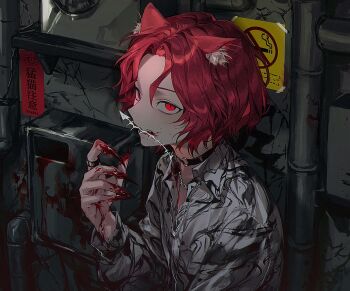 1boy animal_ear_fluff animal_ears araki_(utaite) black_choker blood blood_on_clothes blood_on_face blood_on_hands blood_on_mouth cat_ears chain chain_necklace choker collared_shirt curtained_hair english_text fangs fish_skeleton hanaseto highres indie_utaite industrial industrial_pipe jewelry kemonomimi_mode long_sleeves male_focus mixed-language_text mouth_hold necklace o-ring o-ring_choker print_shirt red_eyes red_hair shirt sign slit_pupils solo translation_request upper_body utaite variant_set white_shirt