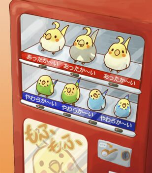 asio-otus beak bird bird_tail bird_wings budgerigar_(bird) cockatiel commentary_request no_humans original parrot tail vending_machine wings