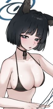 1girl alternate_costume animal_ears bikini black_bikini black_eyes blue_archive blue_halo blue_string breasts cat_ears cat_girl guwall halo highres kikyou_(blue_archive) large_breasts navel simple_background solo swimsuit upper_body white_background