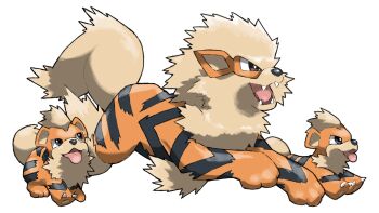 Rule 34 | animal focus, arcanine, black eyes, blacknirrow, evolutionary line, fangs, gen 1 pokemon, growlithe, highres, nintendo, no humans, open mouth, pokemon, pokemon (creature), pokemon focus, running, simple background, smile, white background