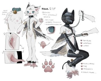 1boy 1girl animal_ears bdsm beak bell bird_boy bird_girl bird_legs black_mask blood blue_collar blue_eyes breasts brown_feathers brown_wings chain chain_leash closed_mouth collar english_text faceless feathered_wings feathers furry furry_female furry_male gender_transitioning gloves griffin_boy griffin_girl harness highres holding holding_knife hood howl_(jejejunum) jejejunum knife latex latex_gloves latex_thighhighs leash leather mask multicolored_feathers neck_bell nipples original pawpads penis pet_play pussy reference_sheet sitting small_breasts stab standing thighhighs tongue tongue_out wings