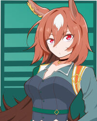 Rule 34 | 1girl, absurdres, animal ears, border, breasts, brown hair, cleavage, closed mouth, collared shirt, commentary request, green background, green jacket, grey shirt, highres, horse ears, horse girl, jacket, kei5469, large breasts, long hair, looking at viewer, pendant choker, red eyes, shirt, simple background, sirius symboli (umamusume), solo, umamusume, upper body, white border