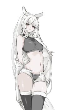 1girl animal_ears arknights black_panties black_sports_bra black_thighhighs breasts closed_mouth commentary_request highres horse_ears horse_girl horse_tail jacket long_hair long_sleeves looking_at_viewer medium_breasts navel off_shoulder open_clothes open_fly open_jacket open_shorts panties platinum_(arknights) renka_(renxka) shorts single_bare_shoulder solo sports_bra tail thigh_gap thighhighs underwear very_long_hair white_hair white_jacket white_shorts yellow_eyes
