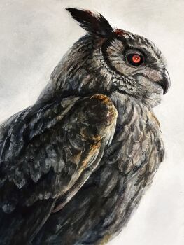 Rule 34 | animal, animal focus, bird, commentary request, grey background, highres, no humans, original, owl, painting (medium), realistic, takahashi shion, traditional media, watercolor (medium)