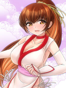 1girl breasts dead_or_alive kasumi_(doa) large_breasts long_hair solo