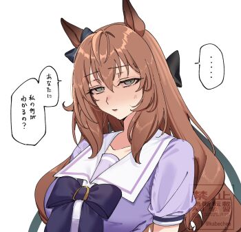 animal_ears bow bowtie brown_hair chikabe commentary_request ear_bow ear_ornament highres horse_ears horse_girl horseshoe_ornament long_hair maruzensky_(umamusume) puffy_short_sleeves puffy_sleeves purple_bow purple_bowtie purple_sailor_collar purple_serafuku purple_shirt sailor_collar sailor_shirt school_uniform serafuku shirt short_sleeves tracen_school_uniform umamusume very_long_hair
