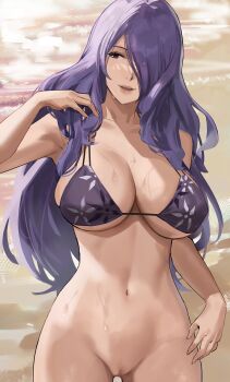 1girl alternate_costume armpits bare_arms bare_shoulders bikini bottomless breasts camilla_(fire_emblem) cleavage collarbone cowboy_shot day female_focus fire_emblem fire_emblem_fates hair_over_one_eye halterneck highres j@ck large_breasts long_hair looking_to_the_side midriff navel nintendo outdoors parted_lips purple_bikini purple_eyes purple_hair pussy skindentation smile solo stomach string_bikini swimsuit underboob very_long_hair wet