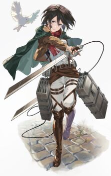 1girl belt belt_buckle bird black_eyes black_hair black_skirt boots brown_belt brown_boots brown_jacket buckle capelet closed_mouth commentary_request facial_scar full_body green_capelet hair_between_eyes highres holding holding_sword holding_weapon jacket looking_at_viewer mikasa_ackerman open_clothes open_jacket outstretched_arm pants paradis_military_uniform red_scarf scar scar_on_cheek scar_on_face scarf shingeki_no_kyojin shirt shirushi_06 short_hair skirt standing standing_on_one_leg stone_floor suspenders sword thigh_boots thigh_strap three-dimensional_maneuver_gear weapon white_pants white_shirt