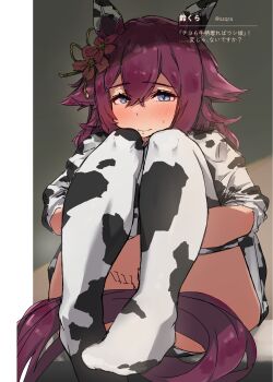 1girl animal_ears animal_print blue_eyes blush closed_mouth commentary_request cow_print cow_print_thighhighs ear_covers hair_between_eyes highres horse_ears horse_girl horse_tail looking_at_viewer medium_hair print_thighhighs qralto red_hair sakura_chiyono_o_(umamusume) sitting smile solo tail thighhighs umamusume white_thighhighs