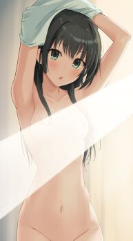 1girl 2025 20s :o absurdres armpits arms_up bare_hips bare_shoulders black_hair breasts censored cleft_of_venus collarbone commentary_request completely_nude flower green_shirt hair_flower hair_ornament highres k3rd light_censor long_hair looking_at_viewer medium_breasts navel nipples nude out-of-frame_censoring paid_reward_available parted_lips saten_ruiko shirt solo standing stomach sunlight toaru_kagaku_no_railgun toaru_majutsu_no_index undressing