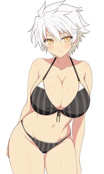 1girl absurdres bikini black_bikini blush breasts closed_mouth commentary_request eyelashes front-tie_bikini_top front-tie_top hair_between_eyes highres large_breasts manjou_(q_tiwj) miyabi_(senran_kagura) navel senran_kagura short_hair simple_background slit_pupils smile solo split_mouth stomach striped_bikini striped_clothes swimsuit vertical-striped_bikini vertical-striped_clothes white_background white_hair yellow_eyes