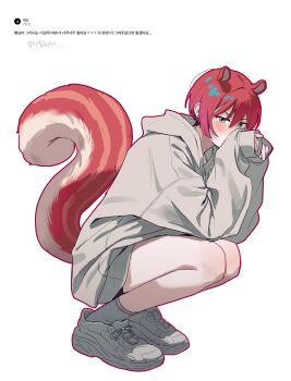 1girl absurdres amate_yuzuriha animal_ears aqua_eyes blush full_body grey_hoodie gundam gundam_gquuuuuux highres hood hoodie kemonomimi_mode long_sleeves looking_at_viewer otakulifewow red_hair shoes short_hair simple_background sneakers socks squatting squirrel_ears squirrel_girl squirrel_tail tail white_background