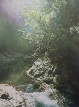 Rule 34 | absurdres, blue sky, commentary request, day, forest, highres, naohiro ito, nature, no humans, original, outdoors, painting (medium), realistic, river, riverbank, scenery, shadow, sky, stream, sunlight, traditional media, tree, tree shade