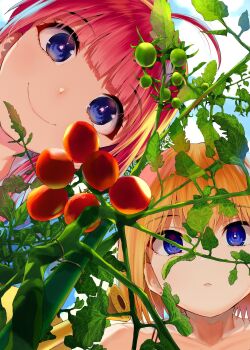 Rule 34 | 2girls, ahoge, bare shoulders, blue eyes, blue sky, bright pupils, closed mouth, commentary request, cover image, highres, looking at viewer, multiple girls, orange hair, parted lips, plant, red hair, short hair, siblings, sisters, sky, smile, sprinkler, tomato, vegetable garden of twins, white pupils, yumeno tanuki