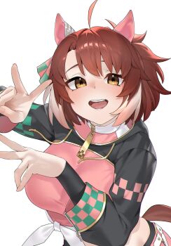 Rule 34 | 1girl, ahoge, animal ears, arril100, black leggings, black shrug, blush, bow, breasts, brown eyes, brown hair, checkered ribbon, commentary, dantsu flame (center spotlight) (umamusume), dantsu flame (umamusume), ear covers, ear ribbon, hair between eyes, highres, horse ears, horse girl, horse tail, large breasts, leggings, leggings under shorts, looking at viewer, midriff, multicolored hair, open mouth, pink shorts, shirt, shorts, shrug (clothing), simple background, smile, solo, tail, teeth, tied shirt, umamusume, v, white background, white hair