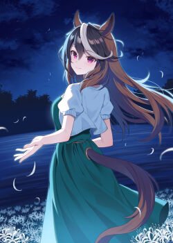 1girl animal_ears black_hair blush breasts brown_hair closed_mouth clothing_cutout cloud commentary_request cropped_jacket dress flower from_behind green_dress hair_between_eyes horse_ears horse_girl horse_tail jacket large_breasts long_hair looking_at_viewer looking_back mauve multicolored_hair night night_sky open_clothes open_jacket outdoors petals puffy_short_sleeves puffy_sleeves purple_eyes short_sleeves sky smile solo spider_lily symboli_rudolf_(umamusume) tail tail_through_clothes two-tone_hair umamusume very_long_hair water white_flower white_hair white_jacket