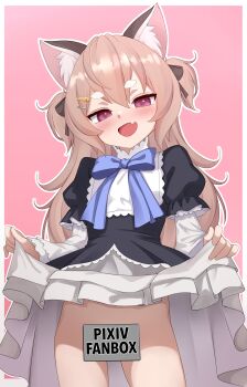 1girl absurdres animal_ear_fluff animal_ears black_dress bow censored chenki_(chenki) clothes_lift dress dress_lift fang gluteal_fold highres komachi_panko layered_sleeves lifting_own_clothes long_hair long_sleeves looking_at_viewer no_panties open_mouth phase_connect pink_background puffy_sleeves short_over_long_sleeves short_sleeves smile solo