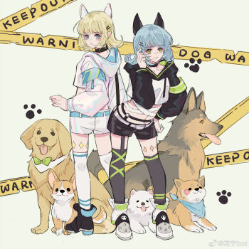 2girls :o animal_ears armband asymmetrical_legwear back-to-back bandaged_waist belt belt_buckle black_choker black_hoodie black_shoes black_shorts black_socks black_thighhighs blonde_hair blue_armband blue_belt blue_eyes blue_hood blunt_bangs buckle caution_tape choker closed_mouth collarbone cropped_hoodie dog dog_ears eyelashes full_body german_shepherd golden_retriever green_armband green_eyes green_ribbon grey_background hair_ornament hairclip hand_in_own_hair hand_on_own_hip highres hood hood_down hoodie huaning_haoxiao_ning leaning_forward leg_ribbon leg_tattoo long_sleeves looking_at_viewer loose_hair_strand medium_hair multiple_girls navel original over-kneehighs parted_lips paw_print puffy_long_sleeves puffy_sleeves ribbed_thighhighs ribbon shiba_inu shoes short_shorts shorts single_over-kneehigh single_thighhigh smile sneakers socks spiked_shoes spikes standing tattoo thighhighs two-sided_hood two-tone_hoodie watermark weibo_watermark welsh_corgi white_belt white_dog white_hoodie white_shoes white_shorts white_socks