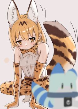1girl absurdres animal_ears belt blonde_hair bow bowtie elbow_gloves extra_ears fox_ears fox_girl fox_tail gloves grey_background highres kemono_friends llb looking_at_viewer lucky_beast_(kemono_friends) robot serval_(kemono_friends) shirt shoes short_hair simple_background skirt sleeveless sleeveless_shirt tail thighhighs yellow_eyes