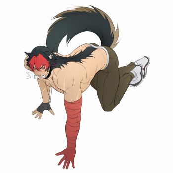 1boy absurdres all_fours animal_ears bandaged_arm bandages bara black_hair blush bone brown_pants clip_studio_paint_(medium) dog_ears dog_tail doria_(doriart) fingerless_gloves gloves highres jewelry komano_manato looking_at_viewer male_focus multicolored_hair necklace pants scar scar_across_eye scar_on_face signature sketch streaked_hair tail zenless_zone_zero