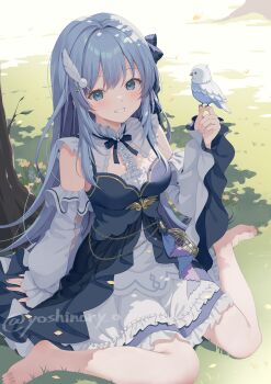 1girl barefoot bird blue_eyes blue_hair breasts budgerigar_(bird) day detached_sleeves dress hair_ornament highres long_hair looking_at_viewer medium_breasts original outdoors sitting solo wariza yoshino_ryou