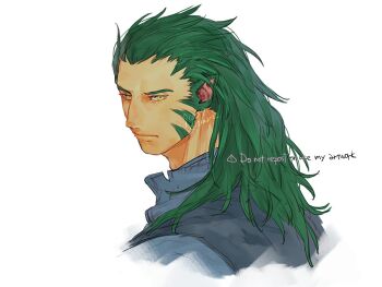 1boy 91007 animal_ears closed_mouth commentary_request fire_emblem fire_emblem:_path_of_radiance fire_emblem:_radiant_dawn green_hair laguz_(fire_emblem) looking_at_viewer male_focus muarim_(fire_emblem) nintendo solo tiger_boy yellow_eyes