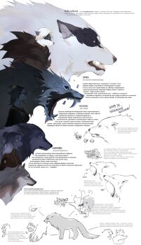 animal_focus artist_name commentary commentary_request creature fluffy highres immorthis monster original reference_sheet teeth white_background wolf