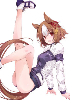 1girl :d animal_ears belno_light_(umamusume) breasts brown_eyes brown_hair buruma commentary_request foot_out_of_frame gym_uniform hair_ornament horse_ears horse_girl horse_tail legs_up letter_hair_ornament long_sleeves looking_at_viewer multicolored_hair open_mouth shoes simple_background smile tail umamusume umamusume:_cinderella_gray white_background white_hair yumesato_makura