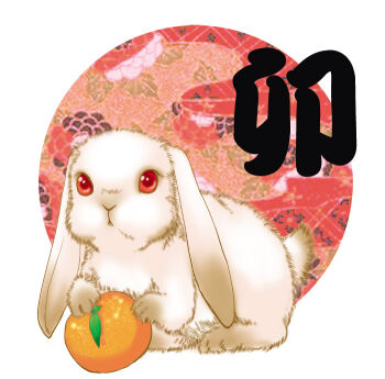 Rule 34 | animal focus, commentary request, floppy ears, fluffy, food, fruit, full body, looking at viewer, mandarin orange, niginigi, no humans, original, rabbit, red eyes, solo, white background